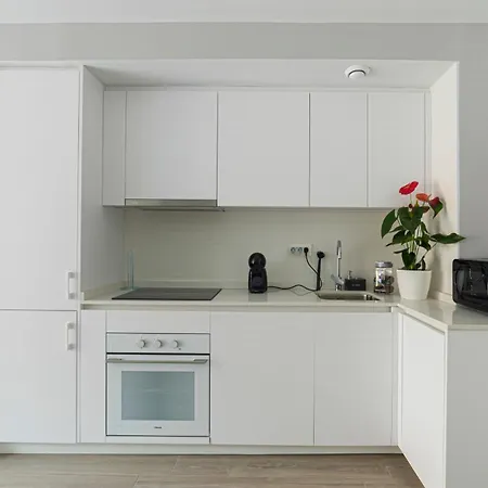 شقة Breton 17- Con Piscina Climatizada En Centro